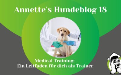 Medical Training für Hunde: Ein Leitfaden für dich als Trainer